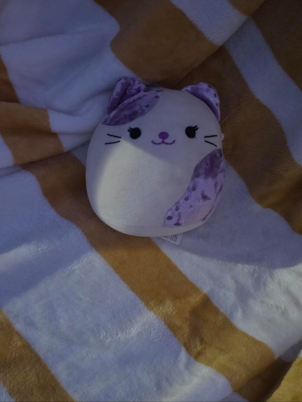 Squishmallows Purple Cat Plush Toy - Lavender Accent